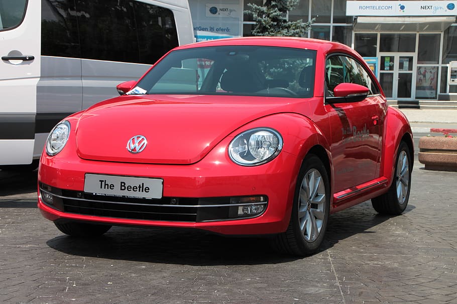 Delving Into the Popularity of the Volkswagen Beetle Delving Into the Popularity of the Volkswagen Beetle