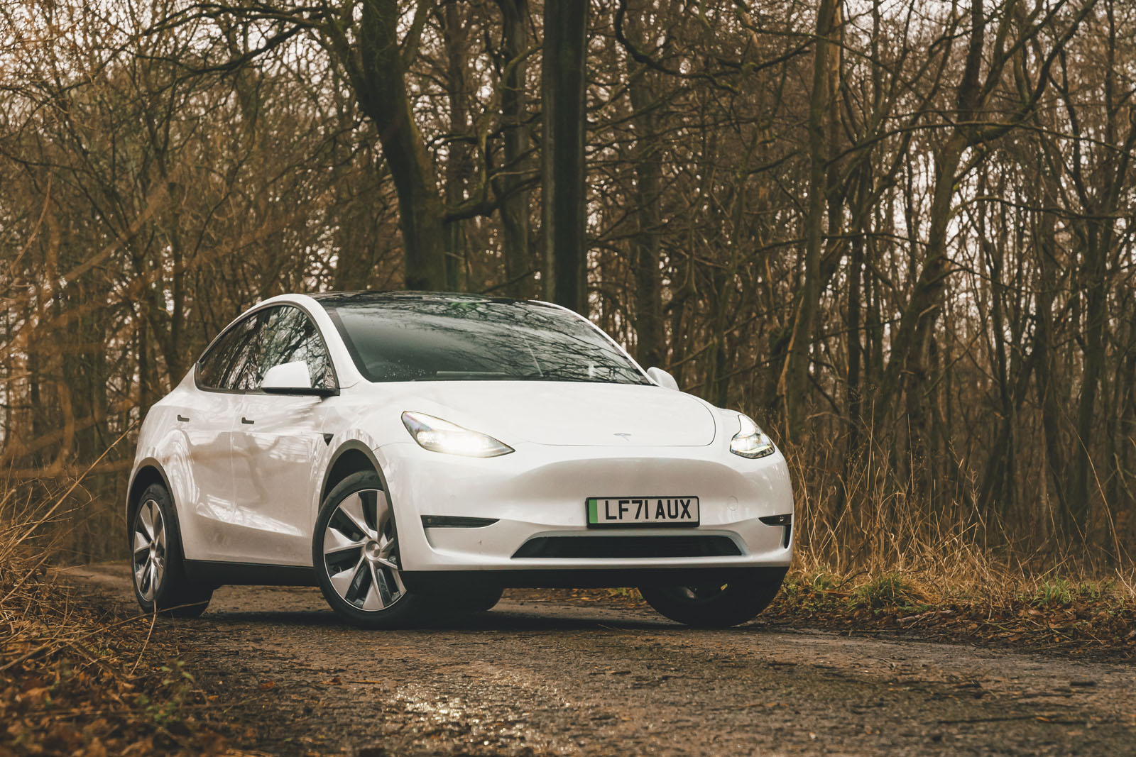 tesla model y 1