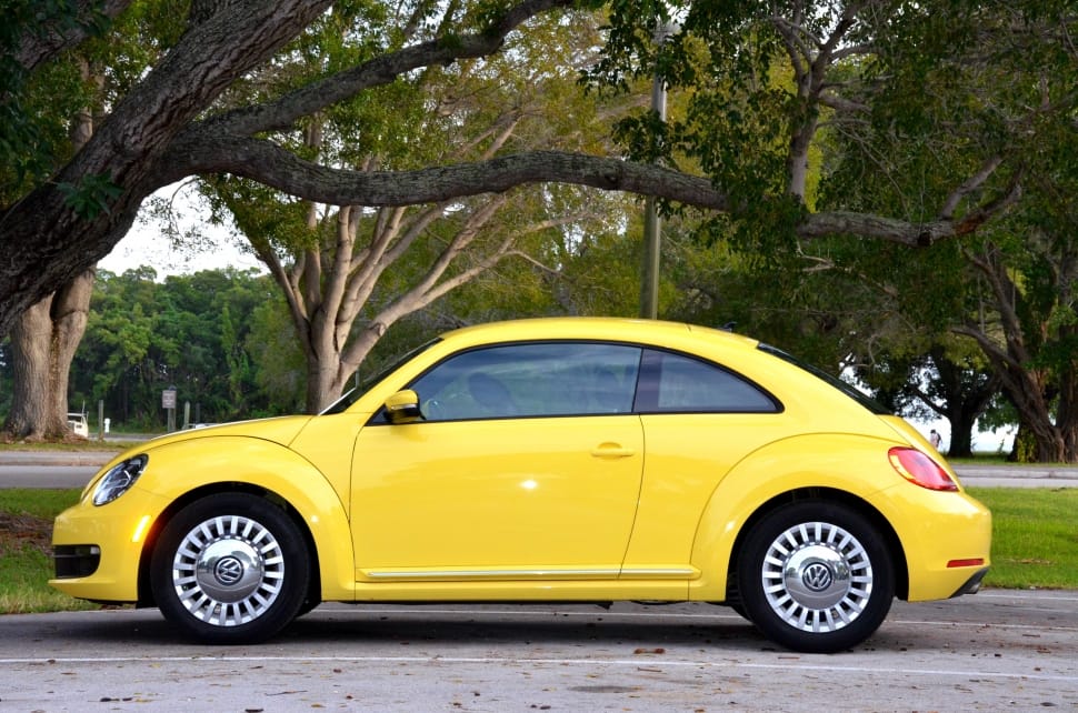 VW Beetle VW Beetle
