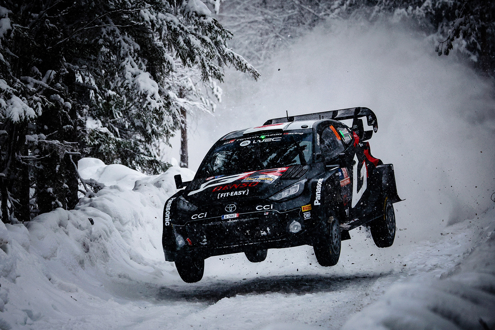 wrc ditch hybrid